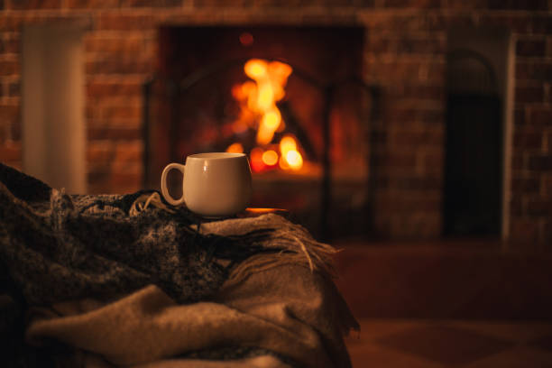5 Books for a Cozy Winter